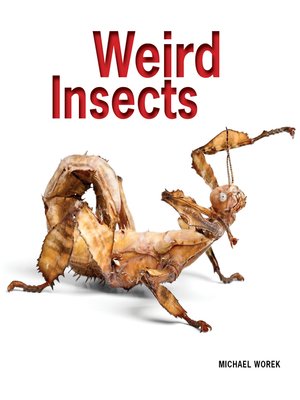 cover image of Weird Insects